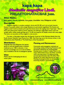 august2016_plant of the month